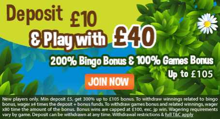 Daisy Bingo - Deposit £10 and Play With £40